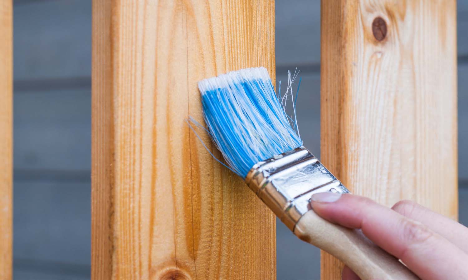 Best Fence Paint in the UK